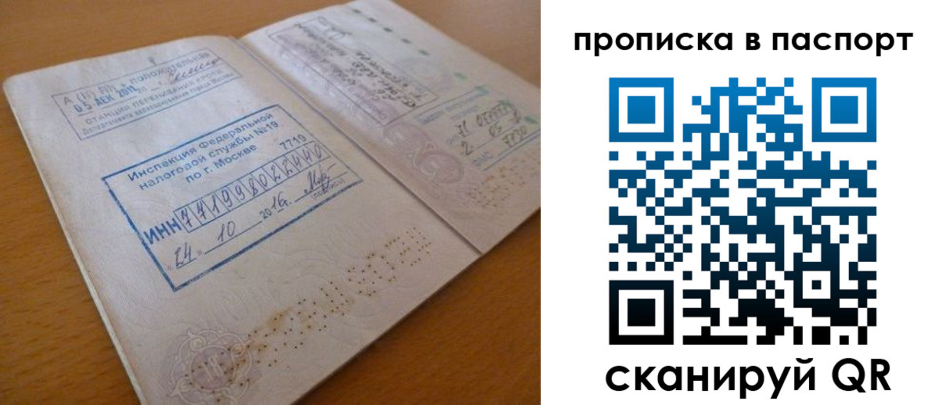 купить прописку в Купино
